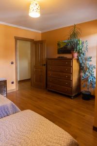 La casa de Epi في Ziordia: غرفة نوم مع خزانة مع النباتات عليها
