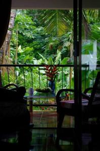 Cette chambre dispose d'une fenêtre offrant une vue sur le jardin. dans l'établissement PAPAYAS SELF catering ROOM, à Victoria