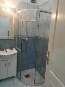 a bathroom with a shower with a sink and a toilet at Baross-hat 5 in Szolnok