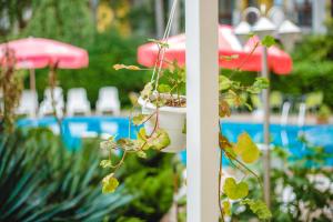 Bazén v ubytování Deva Hotel - All Inclusive nebo v jeho okolí