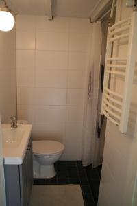 bagno con servizi igienici e lavandino di Rekerlanden 14 a Schoorldam