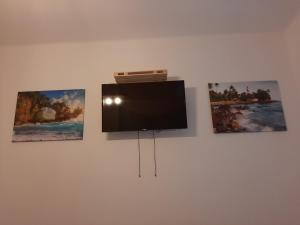 TV a/nebo společenská místnost v ubytování Admiral Apartman Makó