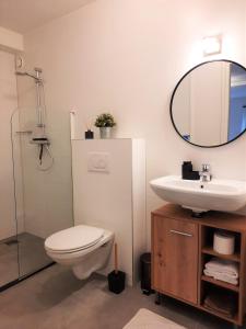 a bathroom with a toilet and a sink and a mirror at Auberge A gen Kirk B&B in Vijlen +38 photos