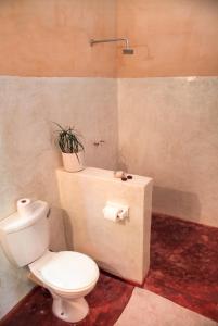 a bathroom with a toilet and a plant on a counter at Tofinho Beach House Apartments in Inhambane