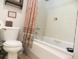 a bathroom with a toilet and a tub and a shower curtain at Rancho Milagro Bed & Breakfast in Elgin +9 photos