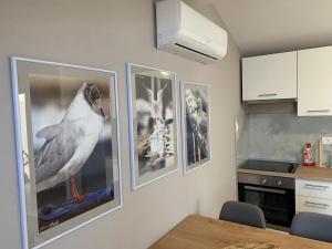 a kitchen with three pictures of birds on the wall at Apartments Nevenka i Josko in Tučepi