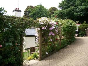 a garden with a fence with flowers on it at Frogwell in Strete