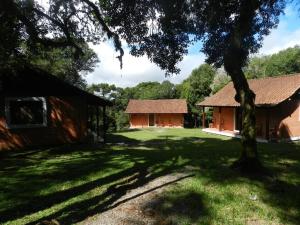 a yard with two buildings and a tree at Sede Campestre Rincão do Coelho in Canela