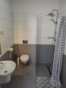 a bathroom with a shower and a toilet and a sink at Bemma Apart Hostel in Wrocław