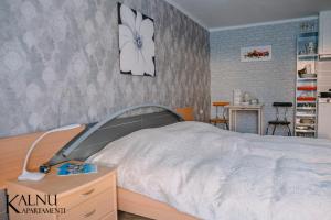 Kalna apartamenti في أغلونا: غرفة نوم بسرير وساعة على الحائط