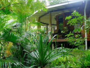 Ein Haus mit einem Haufen Pflanzen davor. in der Unterkunft Wollumbin Palms Rainforest Retreat in Uki