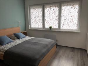 Posteľ alebo postele v izbe v ubytovaní Millenove Apartman Balatonföldvár