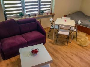 a living room with a couch and a table at Cosy studio in quiet location in Puławy