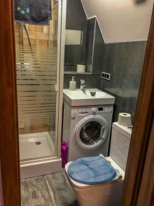 een kleine badkamer met een wasmachine en een wastafel bij Cosy studio in quiet location in Puławy