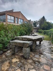 a cat sitting on a stone bench in front of a house at Chambres d'Hôtes Villa Cardellini in Aullène