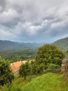 a view of a field with trees and mountains at Chambres d'Hôtes Villa Cardellini in Aullène