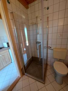 a bathroom with a shower and a toilet at Hoffmann Vendégház in Nagyrákos