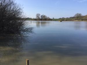 Φωτογραφία από το άλμπουμ του Lac du logerie σε La Puye