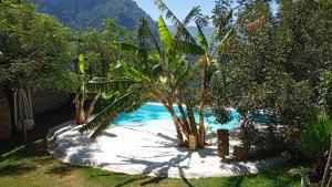 a swimming pool with palm trees in a yard at Mandala Camping in Faralya