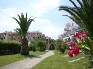 a walkway with palm trees and buildings in the background at Apartment Les Capitelles by Interhome in Saint-Cyprien-Plage