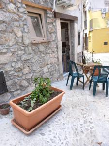 Budova, kde se apartmán nachází + 27 fotografií