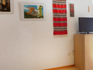 TV a/nebo společenská místnost v ubytování Apartment Castor und Pollux-1 by Interhome