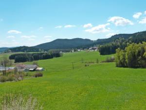 a field of green grass with houses in the distance at Apartment Freisinger-2 by Interhome in Zachenberg