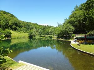 un bacino d'acqua in un parco alberato di Holiday Home Ar Ronchée N- 9 by Interhome ad Astano