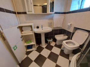 a small bathroom with a sink and a toilet at Apartmani Jašarević in Martinšćica +28 photos