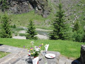 una mesa con un plato de comida y flores en ella en Holiday Home Dara Cotta by Interhome en Alpe di Scieru