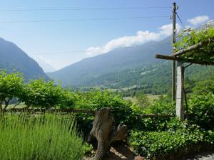 a view of a vineyard with mountains in the background at Apartment Nelly by Interhome in Ponto Valentino
