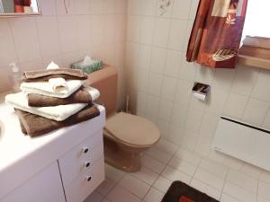 a bathroom with a toilet and towels on a counter at Apartment Chalet Doris-1 by Interhome in Grindelwald +12 photos