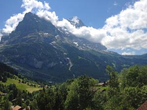 a mountain in the middle of a valley with trees at Apartment Chalet Doris-1 by Interhome in Grindelwald
