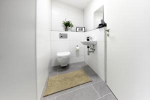 La salle de bains est pourvue de toilettes et d'un lavabo. dans l'établissement Wohnung 14 - ohne Auto in den Europa-Park, à Ringsheim