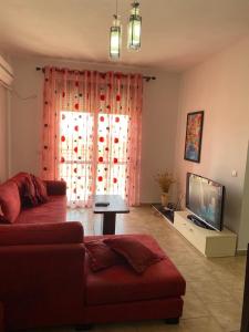 a living room with a couch and a television at Agaraj apartament in Orikum