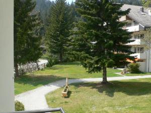 um parque com um banco ao lado de uma árvore em Apartment Val Signina-1 by Interhome em Laax-Murschetg