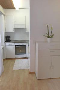 Dapur atau dapur kecil di Apartment Val Signina-1 by Interhome