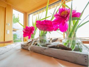 Garður fyrir utan Chalet The Schatzie by Interhome