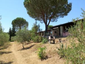 ein Haus an der Seite eines Hügels mit Bäumen in der Unterkunft Holiday Home Il Borgo-1 by Interhome in Casale Marittimo