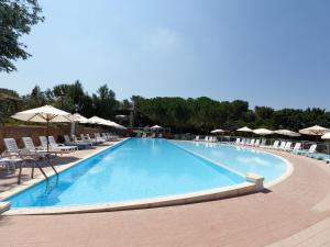 una gran piscina con sillas y sombrillas en Apartment Il Borgo-5 by Interhome, en Casale Marittimo