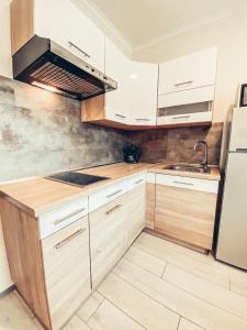 Kuchyňa alebo kuchynka v ubytovaní Casa Luxury Wellness Apartman By BLTN