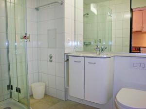 ディゼンティスにあるApartment Utoring Acletta-75 by Interhomeのバスルーム(トイレ、洗面台、シャワー付)