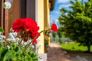 Vonkajšia záhrada v ubytovaní Antiche Vie B&B