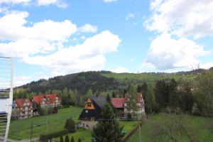 a group of houses on a green hill with trees at DW U Wajdy in Białka Tatrzanska