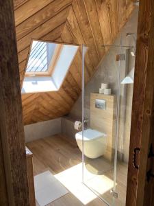 a attic bathroom with a toilet and a skylight at Apartamenty Butorowy in Kościelisko +54 photos