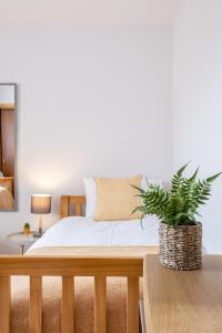 een slaapkamer met een bed met een plant erop bij Bowmore in Lossiemouth