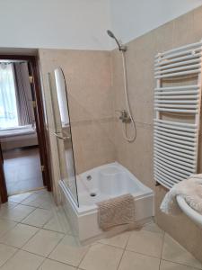 a bathroom with a shower with a tub and a sink at My-Lord LuxApartman in Eger
