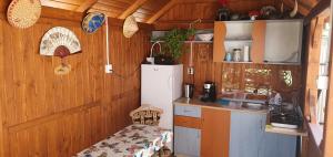 a kitchen with a refrigerator and a table in it at Casa Laur in Sulina