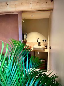 ein Badezimmer mit einem Waschbecken und einer Theke mit einer Pflanze in der Unterkunft Villa Louisa in Saint-Malo