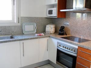 Kuchyň nebo kuchyňský kout v ubytování Apartment Elegance-14 by Interhome